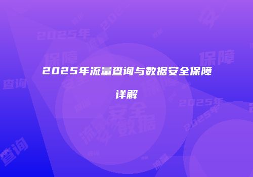 2025年流量查询与数据安全保障详解