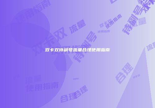 双卡双待副号流量合理使用指南