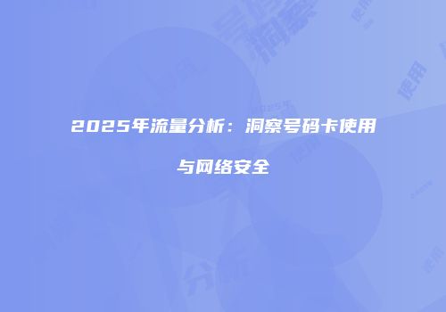 2025年流量分析:洞察号码卡使用与网络安全