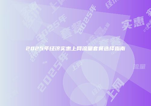 2025年经济实惠上网流量套餐选择指南