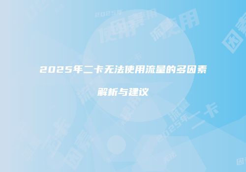 2025年二卡无法使用流量的多因素解析与建议