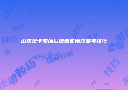 山东星卡激活后流量使用攻略与技巧