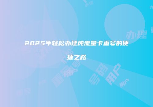 2025年轻松办理纯流量卡重号的便捷之路