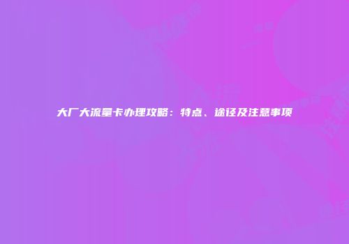 大厂大流量卡办理攻略:特点、途径及注意事项
