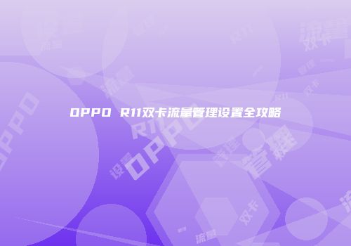 OPPO R11双卡流量管理设置全攻略