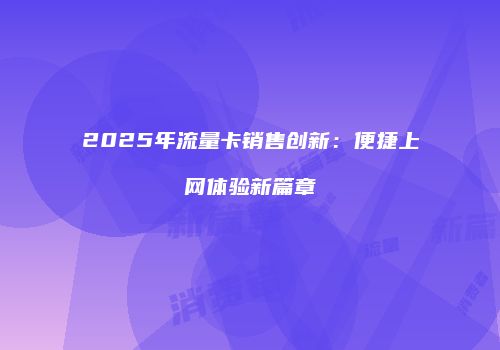 2025年流量卡销售创新：便捷上网体验新篇章