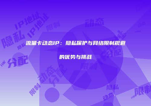 流量卡动态IP:隐私保护与网络限制规避的优势与挑战