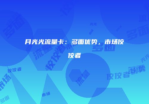 月光光流量卡：多面优势，市场佼佼者