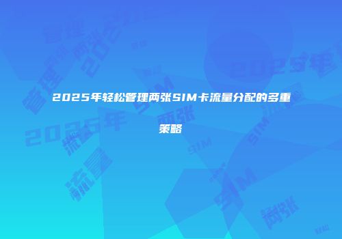 2025年轻松管理两张SIM卡流量分配的多重策略
