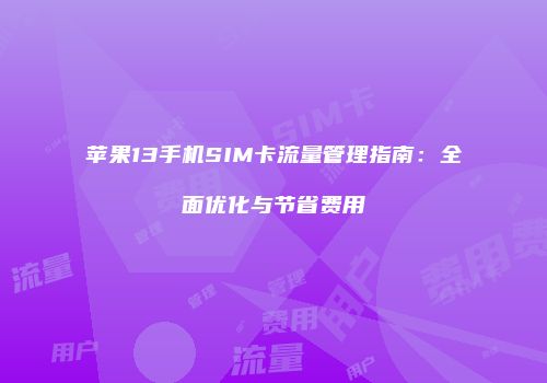 苹果13手机SIM卡流量管理指南:全面优化与节省费用
