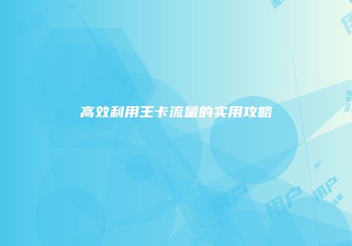 高效利用王卡流量的实用攻略