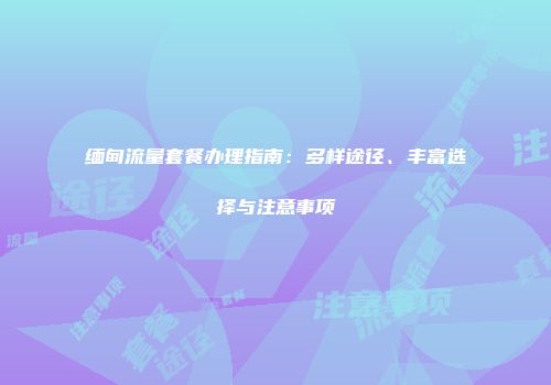 缅甸流量套餐办理指南：多样途径、丰富选择与注意事项