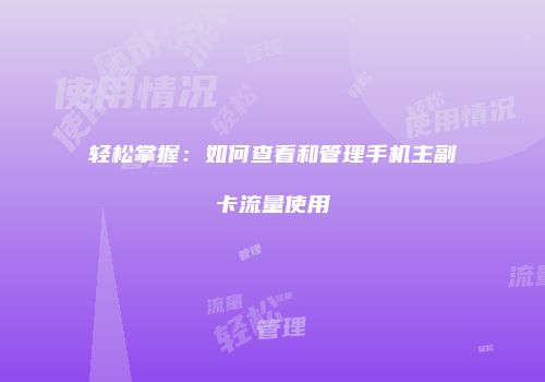 轻松掌握:如何查看和管理手机主副卡流量使用