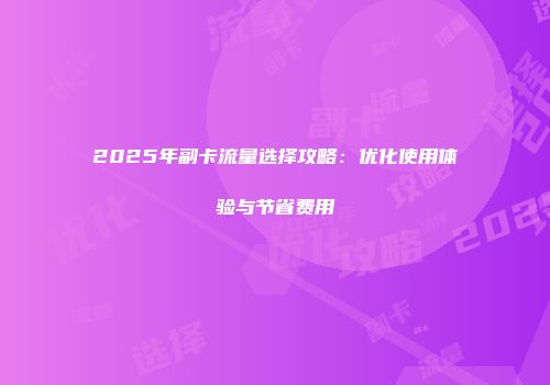 2025年副卡流量选择攻略:优化使用体验与节省费用