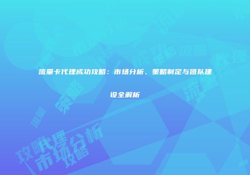 流量卡代理成功攻略：市场分析、策略制定与团队建设全解析