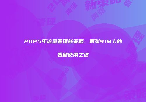 2025年流量管理新策略:两张SIM卡的智能使用之道