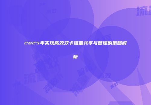 2025年实现高效双卡流量共享与管理的策略解析