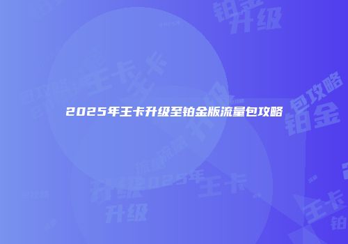 2025年王卡升级至铂金版流量包攻略