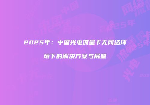 2025年：中国光电流量卡无网络环境下的解决方案与展望