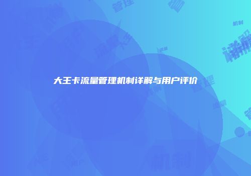 大王卡流量管理机制详解与用户评价