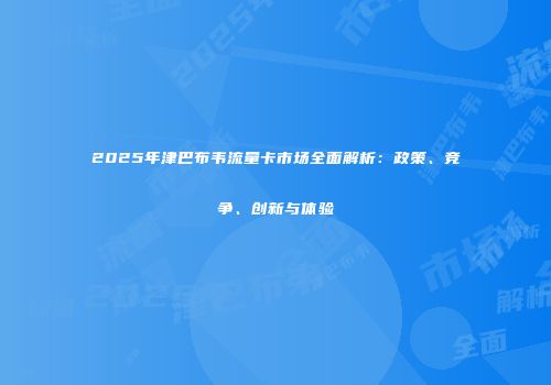 2025年津巴布韦流量卡市场全面解析：政策、竞争、创新与体验