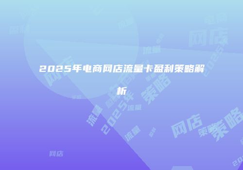 2025年电商网店流量卡盈利策略解析