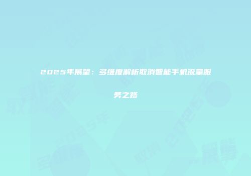 2025年展望:多维度解析取消智能手机流量服务之路