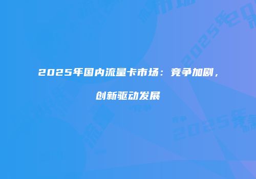 2025年国内流量卡市场:竞争加剧,创新驱动发展