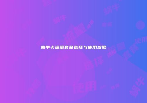 蜗牛卡流量套餐选择与使用攻略
