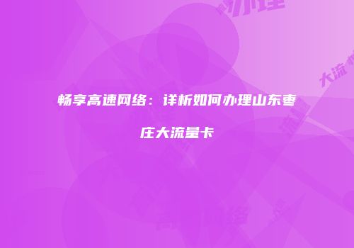畅享高速网络：详析如何办理山东枣庄大流量卡
