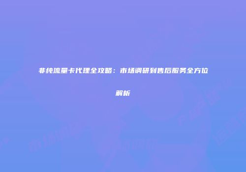 非纯流量卡代理全攻略：市场调研到售后服务全方位解析
