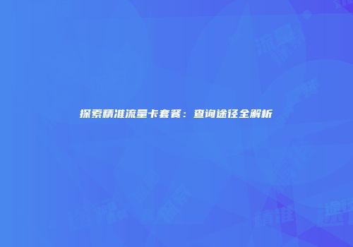 探索精准流量卡套餐:查询途径全解析