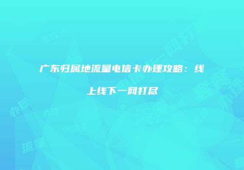广东归属地流量电信卡办理攻略:线上线下一网打尽