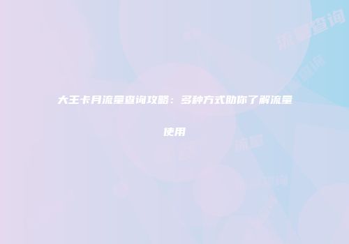 大王卡月流量查询攻略：多种方式助你了解流量使用