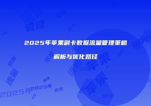 2025年苹果副卡数据流量管理策略解析与优化路径