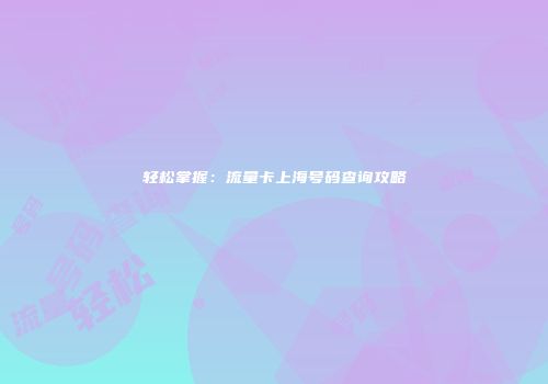 轻松掌握:流量卡上海号码查询攻略