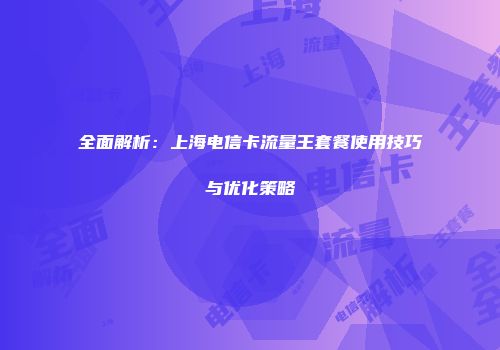 全面解析：上海电信卡流量王套餐使用技巧与优化策略