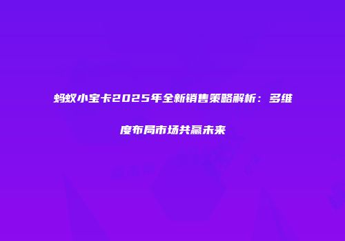 蚂蚁小宝卡2025年全新销售策略解析：多维度布局市场共赢未来