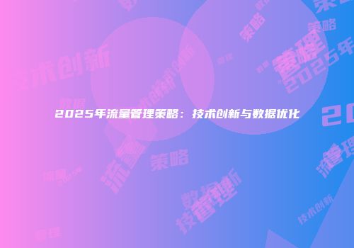 2025年流量管理策略：技术创新与数据优化