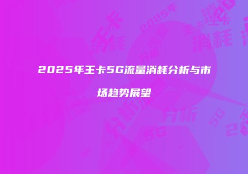 2025年王卡5G流量消耗分析与市场趋势展望