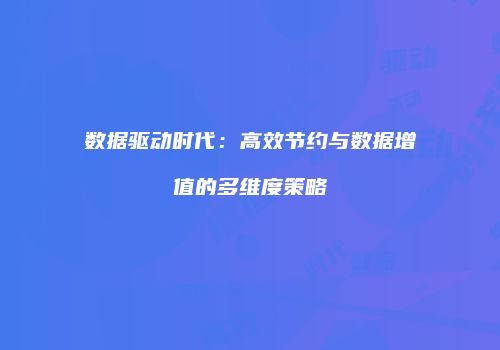 数据驱动时代：高效节约与数据增值的多维度策略