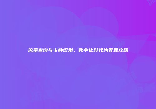 流量查询与卡种识别：数字化时代的管理攻略