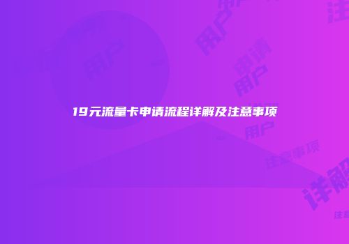 19元流量卡申请流程详解及注意事项