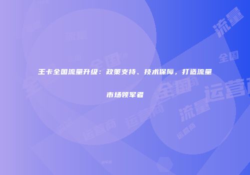 王卡全国流量升级:政策支持、技术保障,打造流量市场领军者