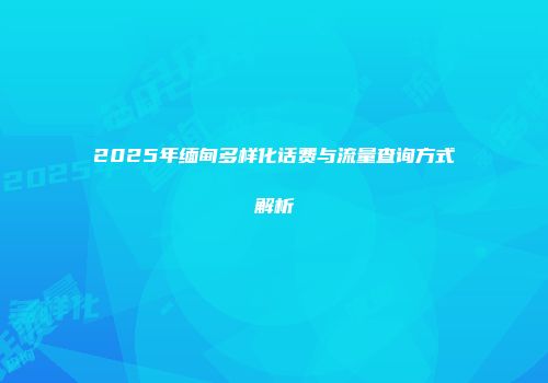 2025年缅甸多样化话费与流量查询方式解析