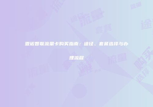 壹诺智联流量卡购买指南：途径、套餐选择与办理流程