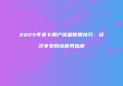 2025年老卡用户流量使用技巧：经济享受网络服务指南