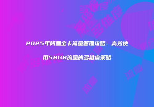 2025年阿里宝卡流量管理攻略：高效使用58GB流量的多维度策略
