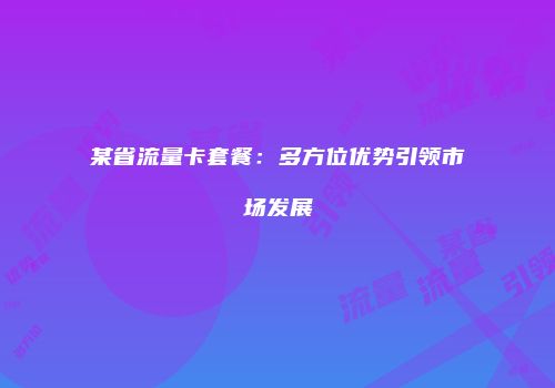 某省流量卡套餐：多方位优势引领市场发展