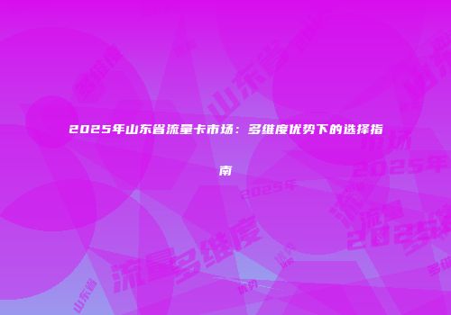 2025年山东省流量卡市场：多维度优势下的选择指南